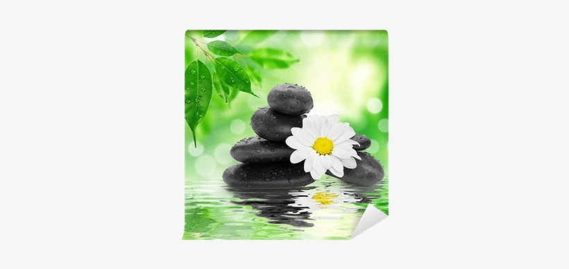 Black Stones And Bamboo On Water Wall Mural • Pixers® - Cortesi Home Peaceful Reflections Ii Photographic Print, transparent png download