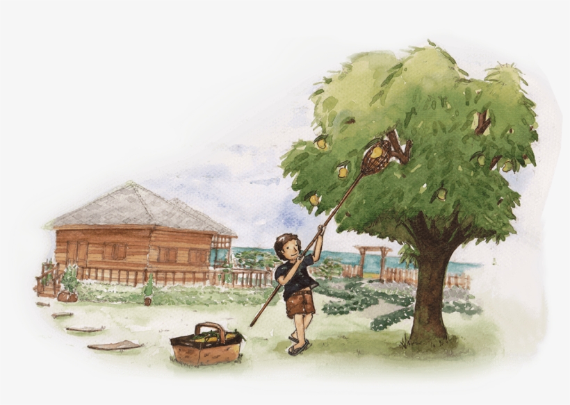 As A Thai Brand, We Take Great Pride In Using Thai - Oak, transparent png download