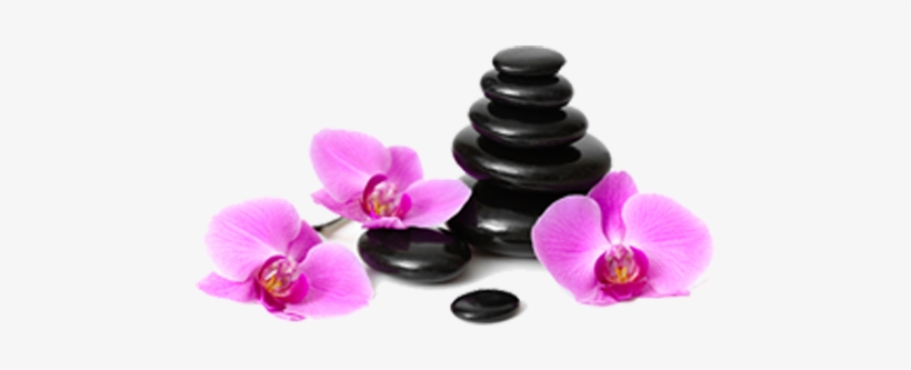 At Maple Beauty Spa We Offer Variety Of Services - Juju Aroma Aromatherapy Best 6 100% Pure Therapeutic, transparent png download