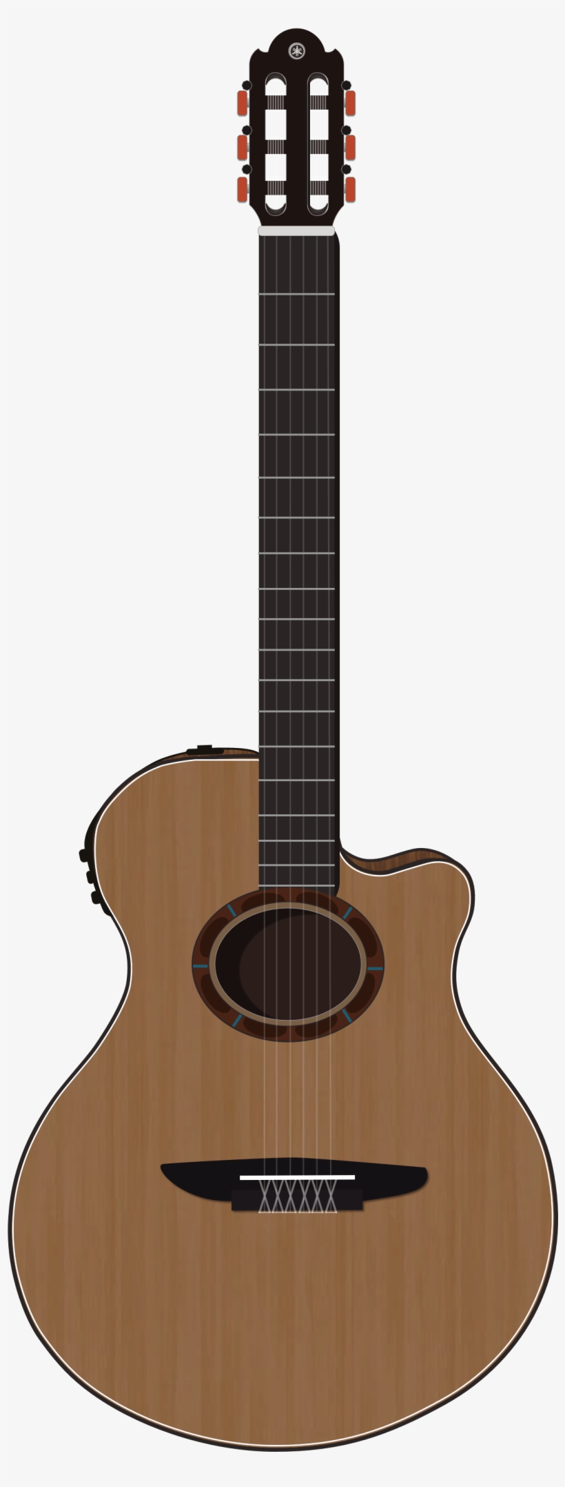 Using For Illustration Guitars - Guitar, transparent png download