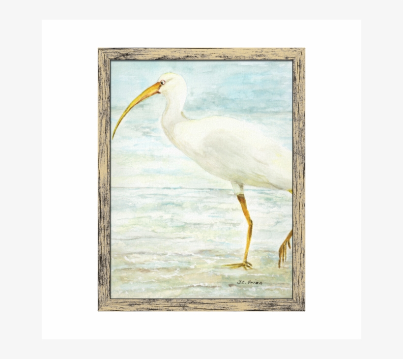 White Ibis On The Shore Beach Watercolor Painting Stretched - Painting, transparent png download