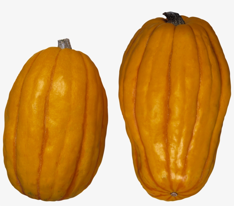 Pumpkin Png Images Free Download Banner Black And White - Winter Squash, transparent png download