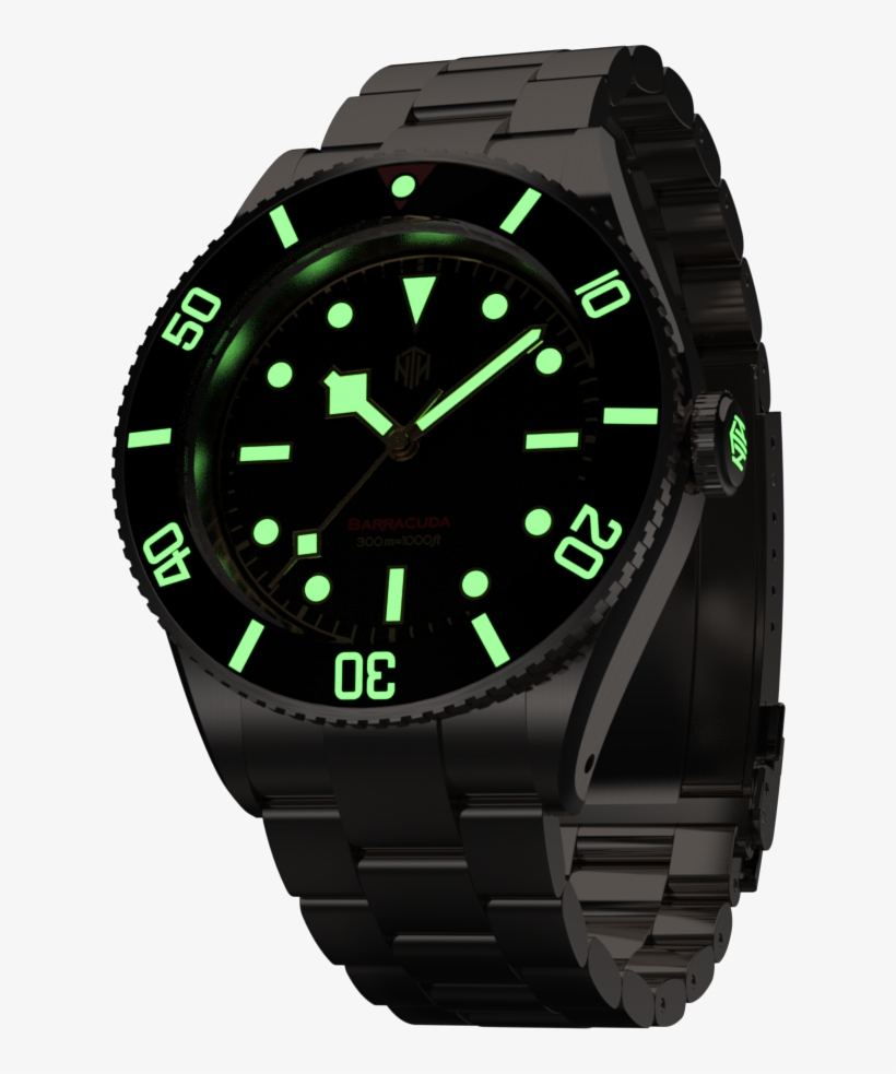 Barracuda Png, transparent png download