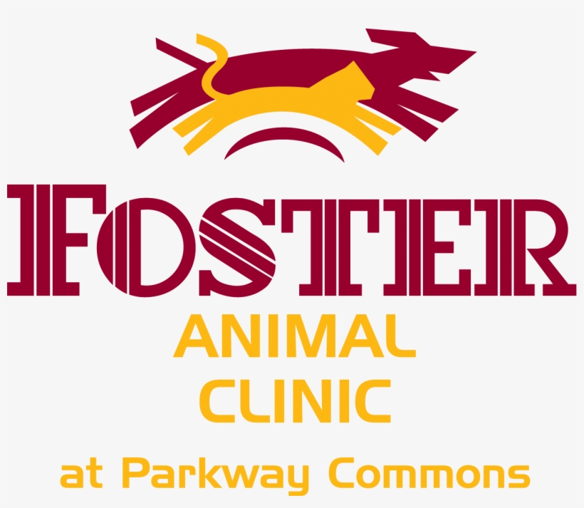 Foster Clinic Logo, transparent png download