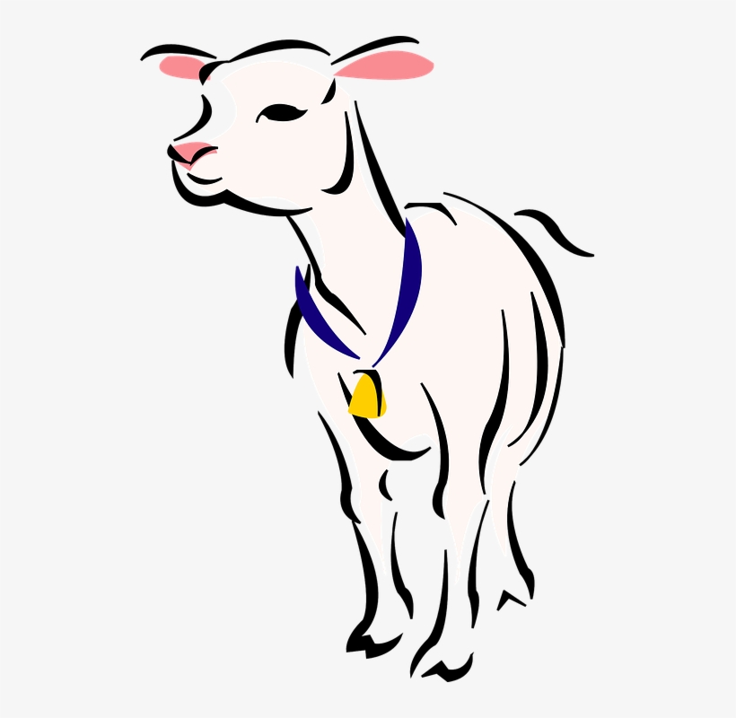 Lamb, Sheep, Farm, Animal, Mammal, Bell, Wool, transparent png download