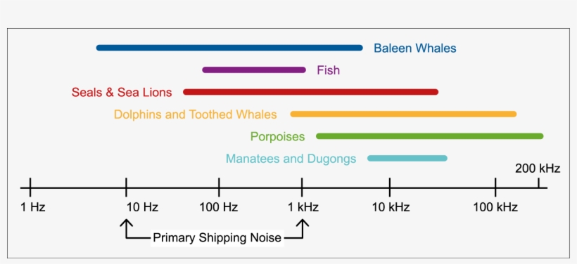 Primary Shipping Noise, transparent png download
