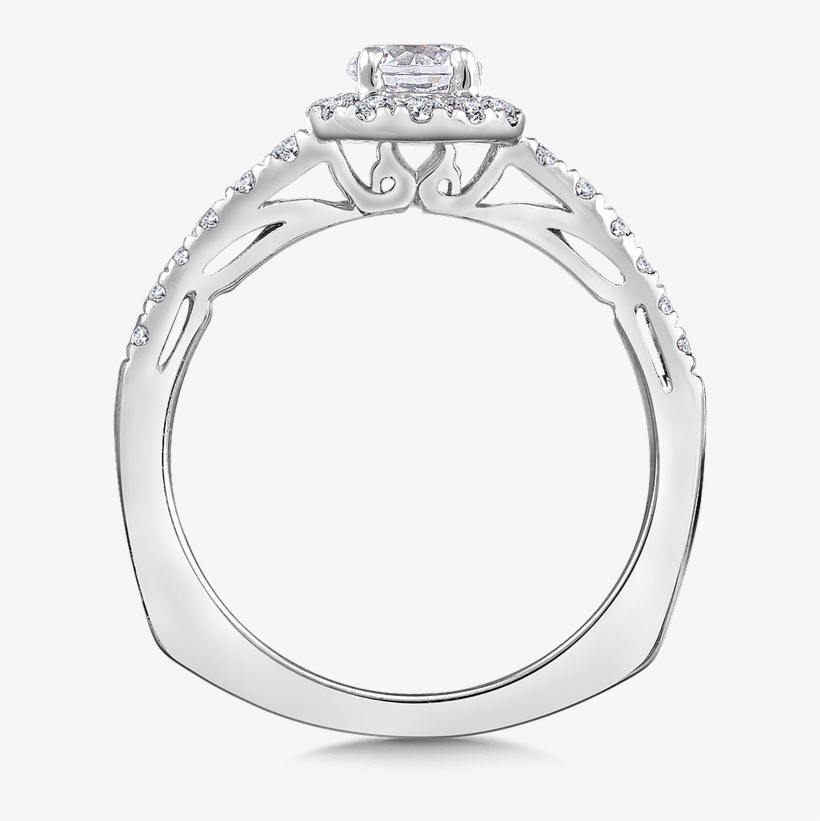 Valina Halo Engagement Ring Mounting In 14k White Gold, transparent png download
