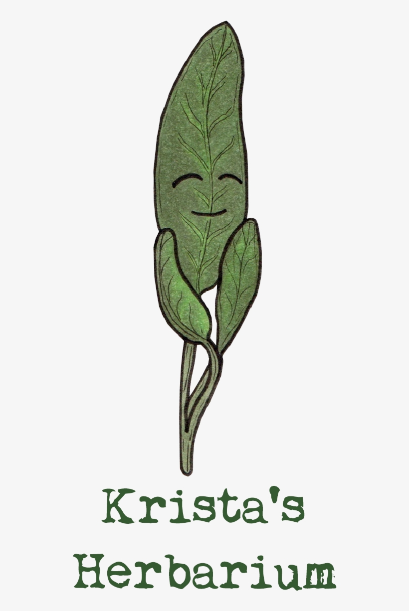 Google Translate, transparent png download