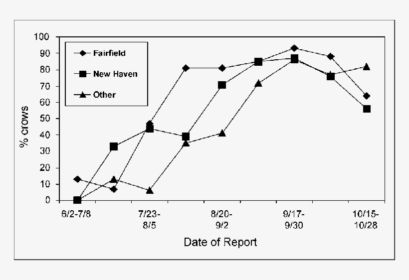 Png Royalty Free Download Percentage Of Dead Crows, transparent png download