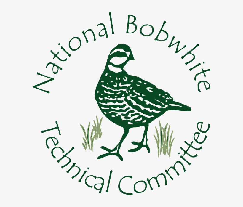 Registration Open For 2017 Nbtc Annual Meeting & Quail, transparent png download