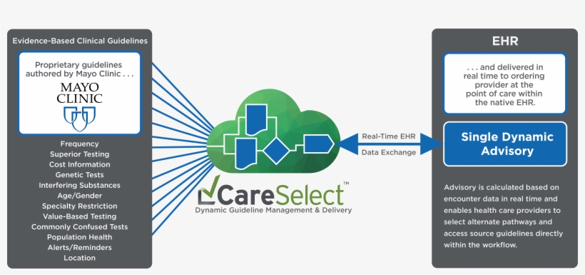 Careselect Lab Provides Real-time Guidance And Addresses, transparent png download