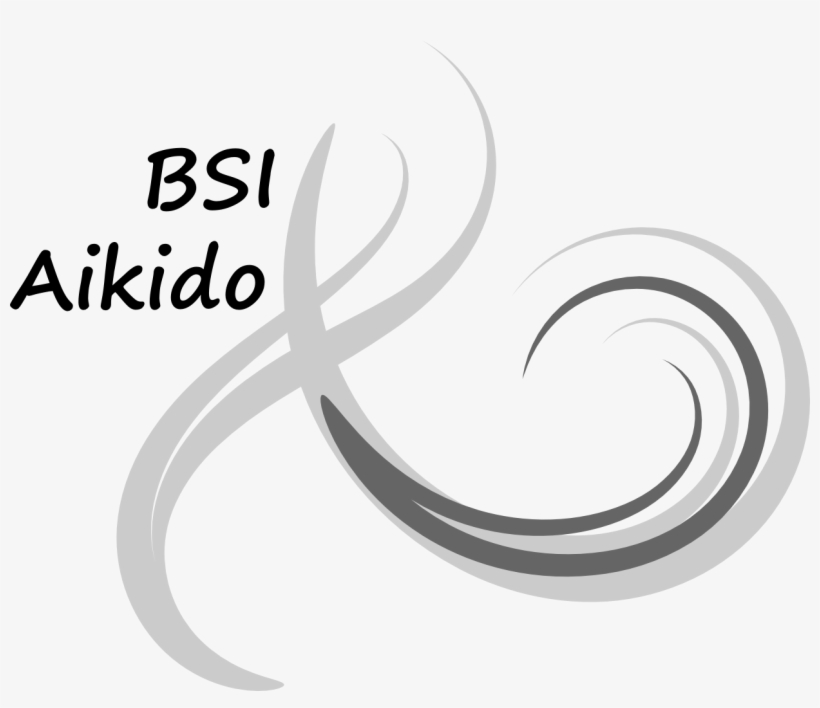 About Bsi Aikido, transparent png download