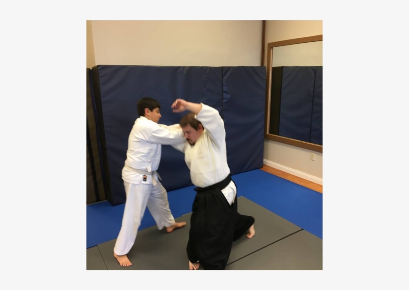 Aikido15, transparent png download