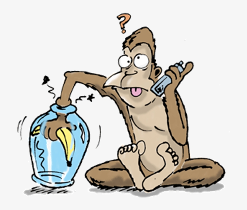 Imagem11, transparent png download