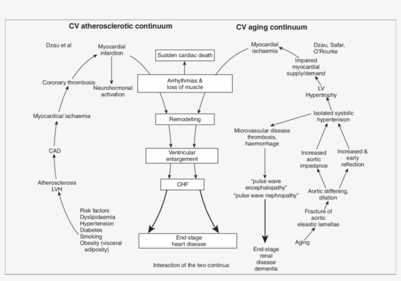 Two Faces Of The Cameo, transparent png download