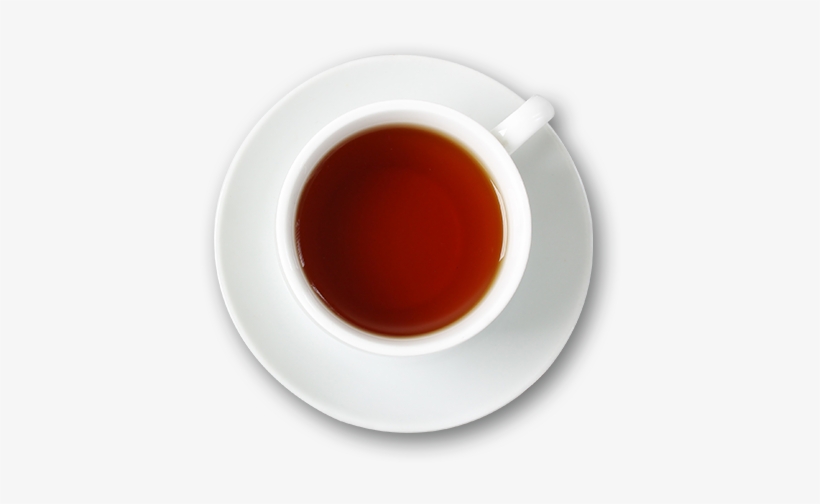 Dummy, transparent png download