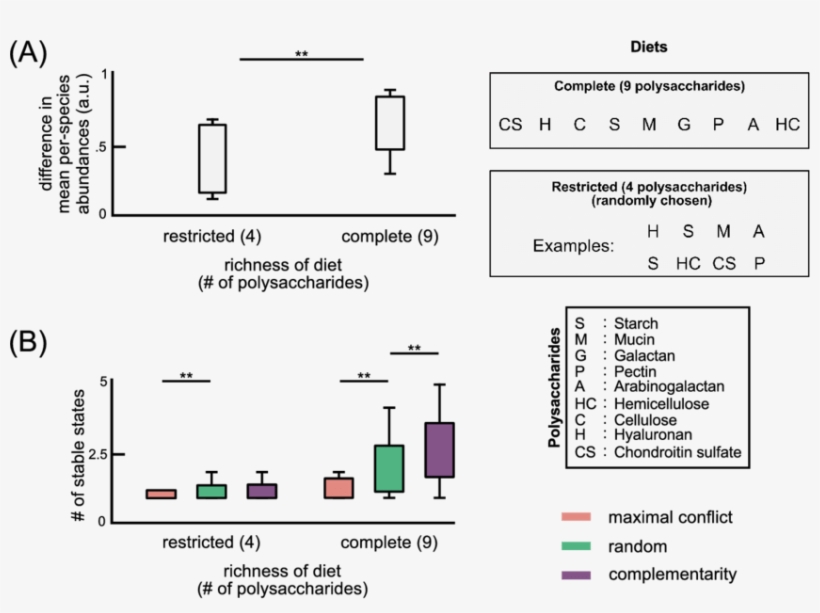 Contrast Between Restricted And Complete Diets In Bacteroides, transparent png download