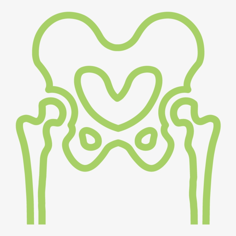 Knee And Hip Replacements, transparent png download