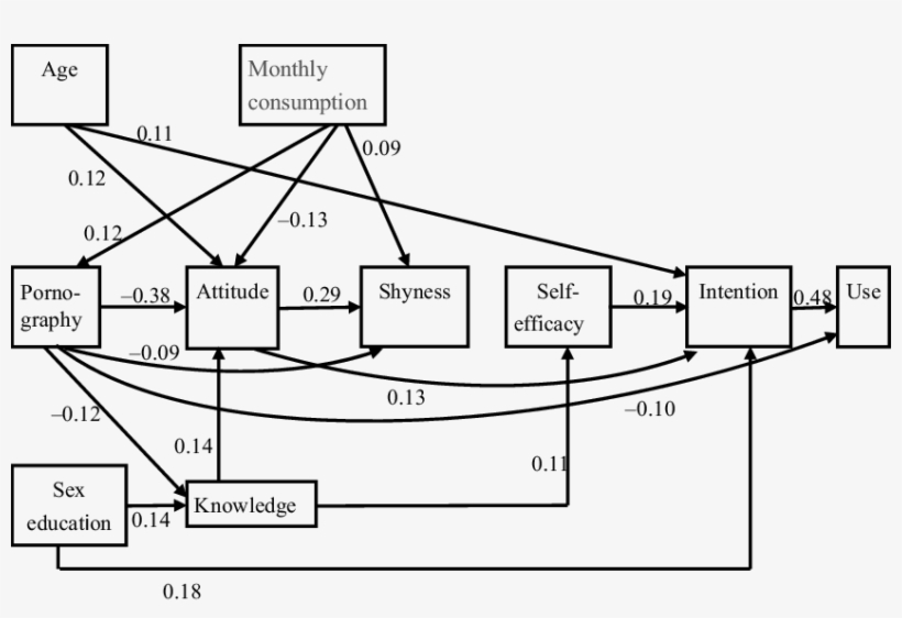 Path Analysis Of Determinants Of Condom Use Among Female, transparent png download
