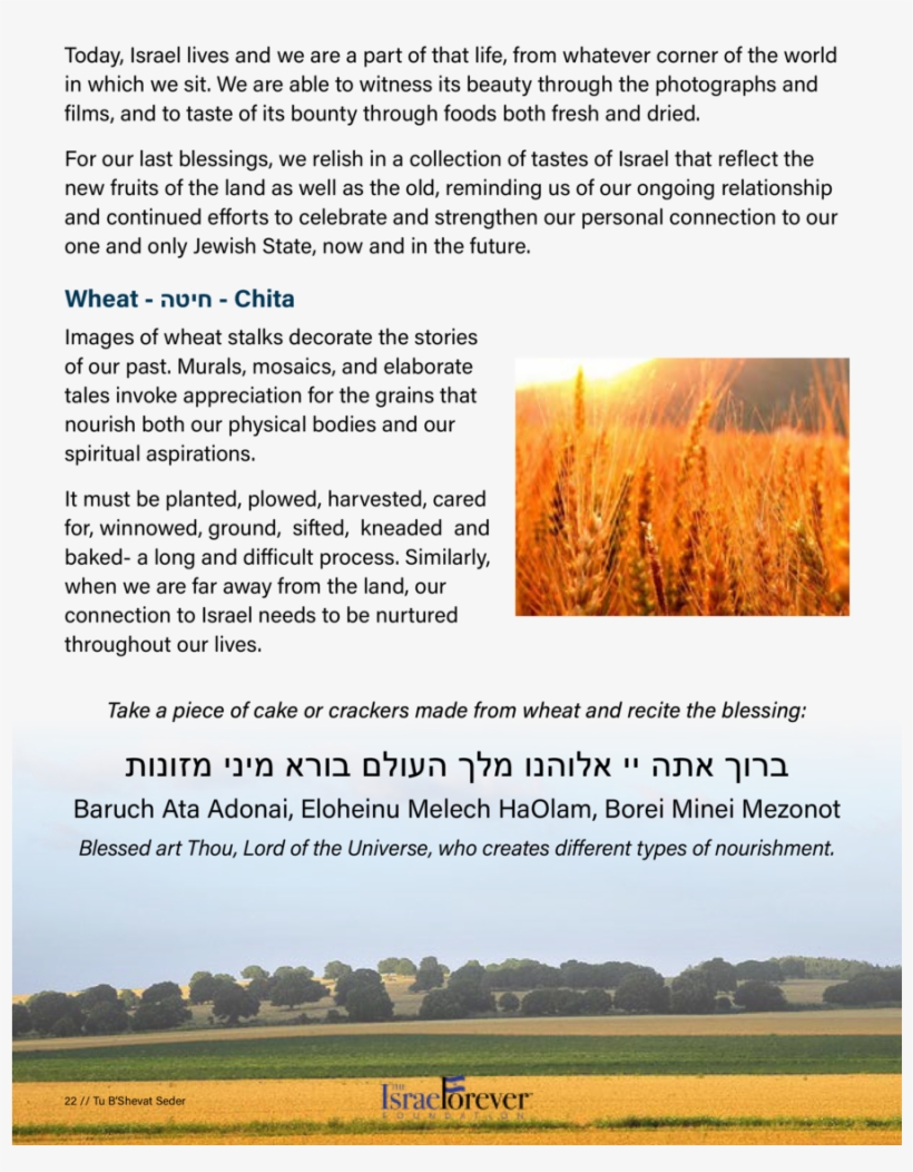 Wheat Stalk Png, transparent png download