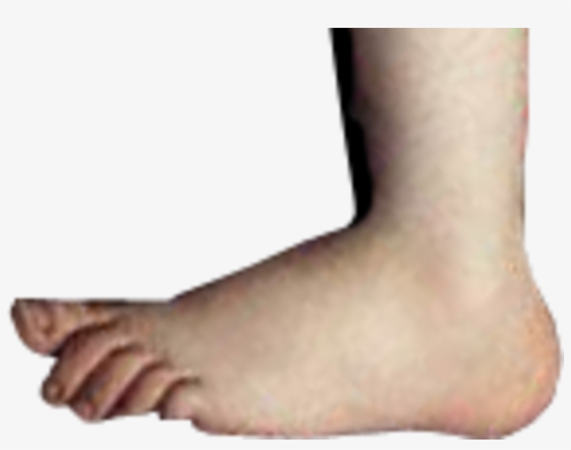 1200px Python Foot, transparent png download