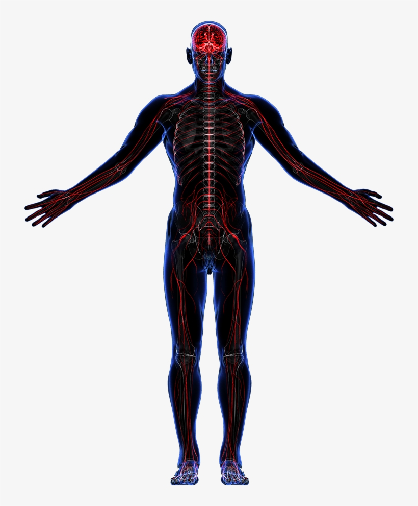 Image, transparent png download
