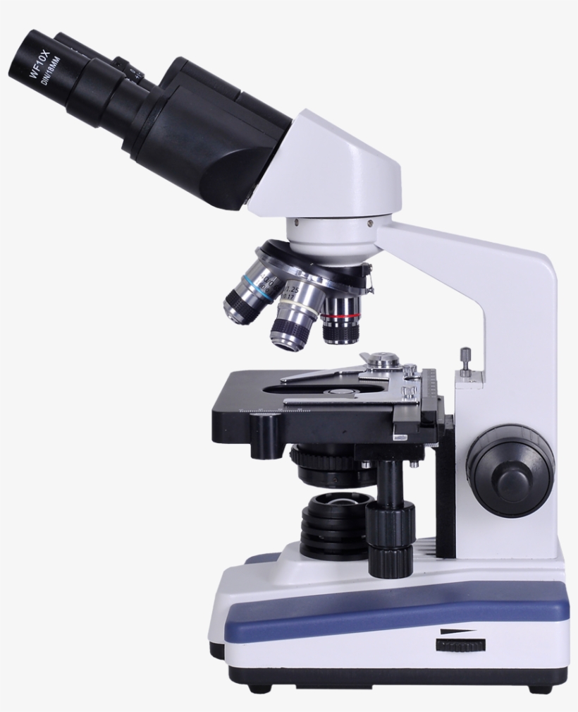 Omano Om118 B4s Microscope Omano Om118 B4s Microscope, transparent png download
