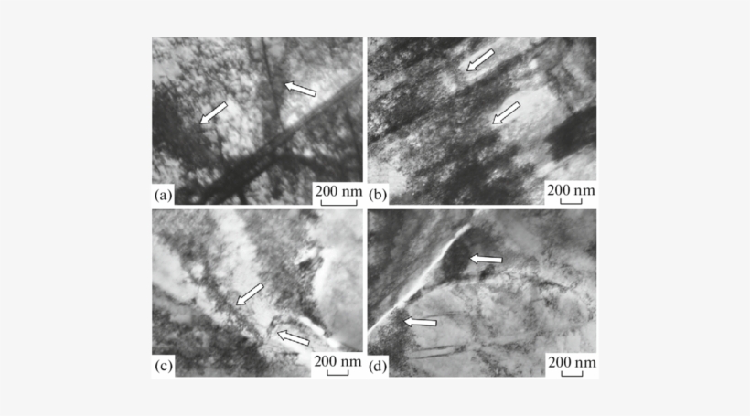 Electron Microscope Image Of The 20cr23ni18 Steel Structure, transparent png download