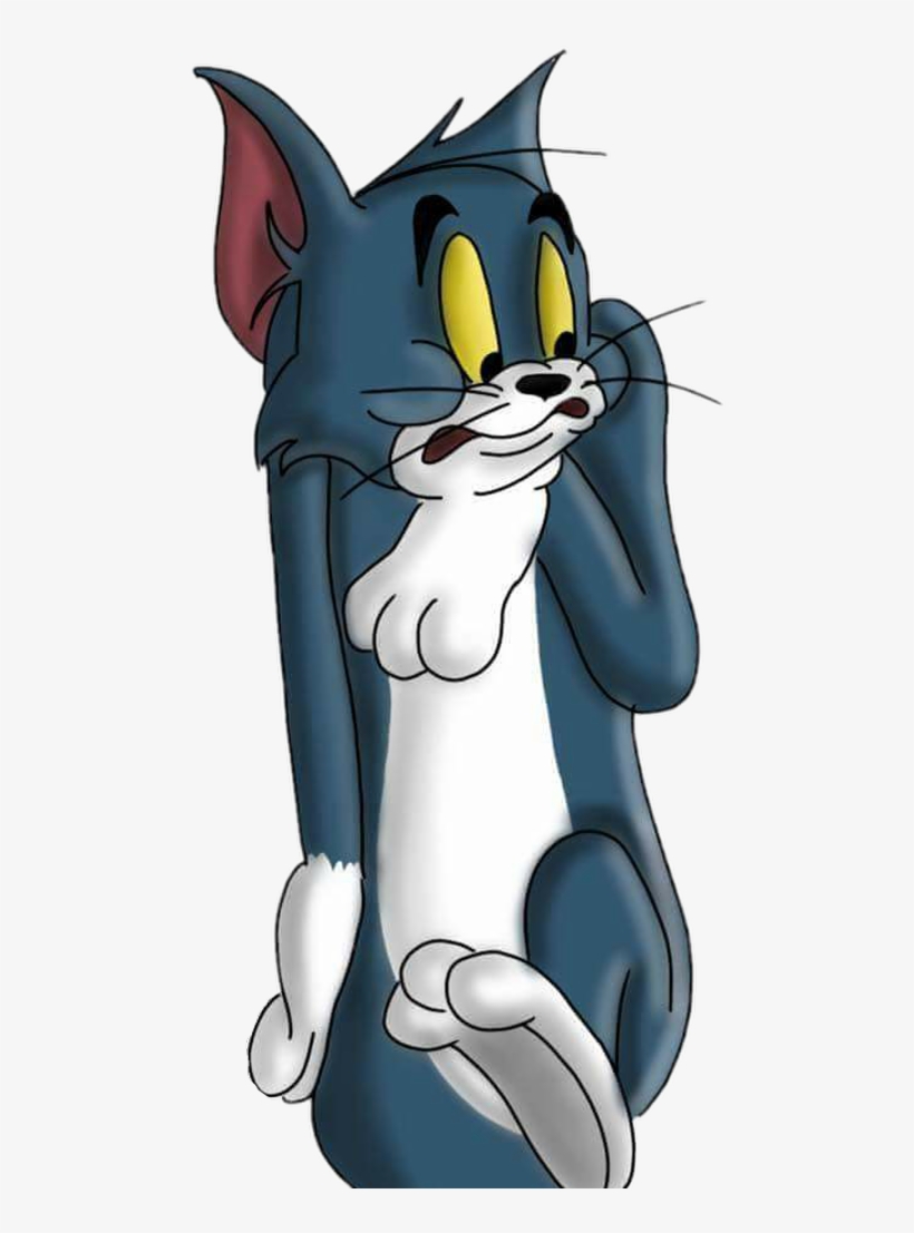 Tom Png, transparent png download