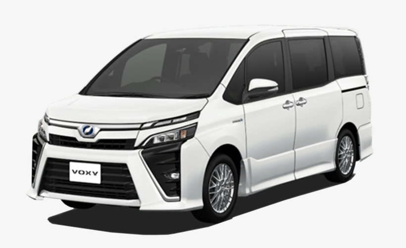 Colour Preference, transparent png download