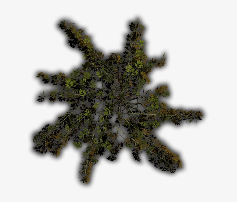 Transparent 06 Feb 2009 Transparent PNG - 639x625 - Free Download on ...