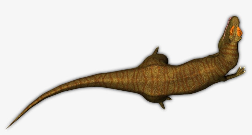 Allosaurus05 Sr, transparent png download