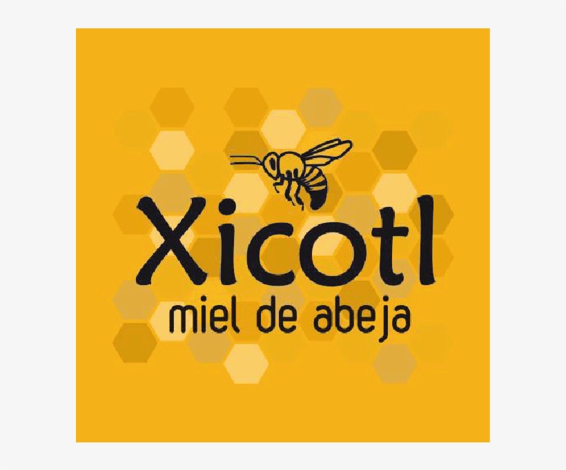 Honey From Different Regions And Blooms Of The State, transparent png download
