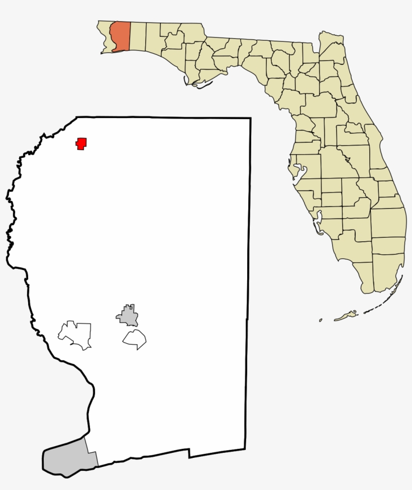 County Florida, transparent png download