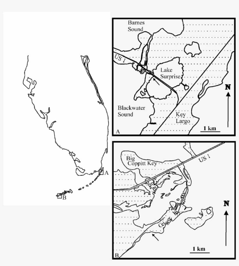 Collection Sites For Two Populations Of Costasiella - Line Art, transparent png download