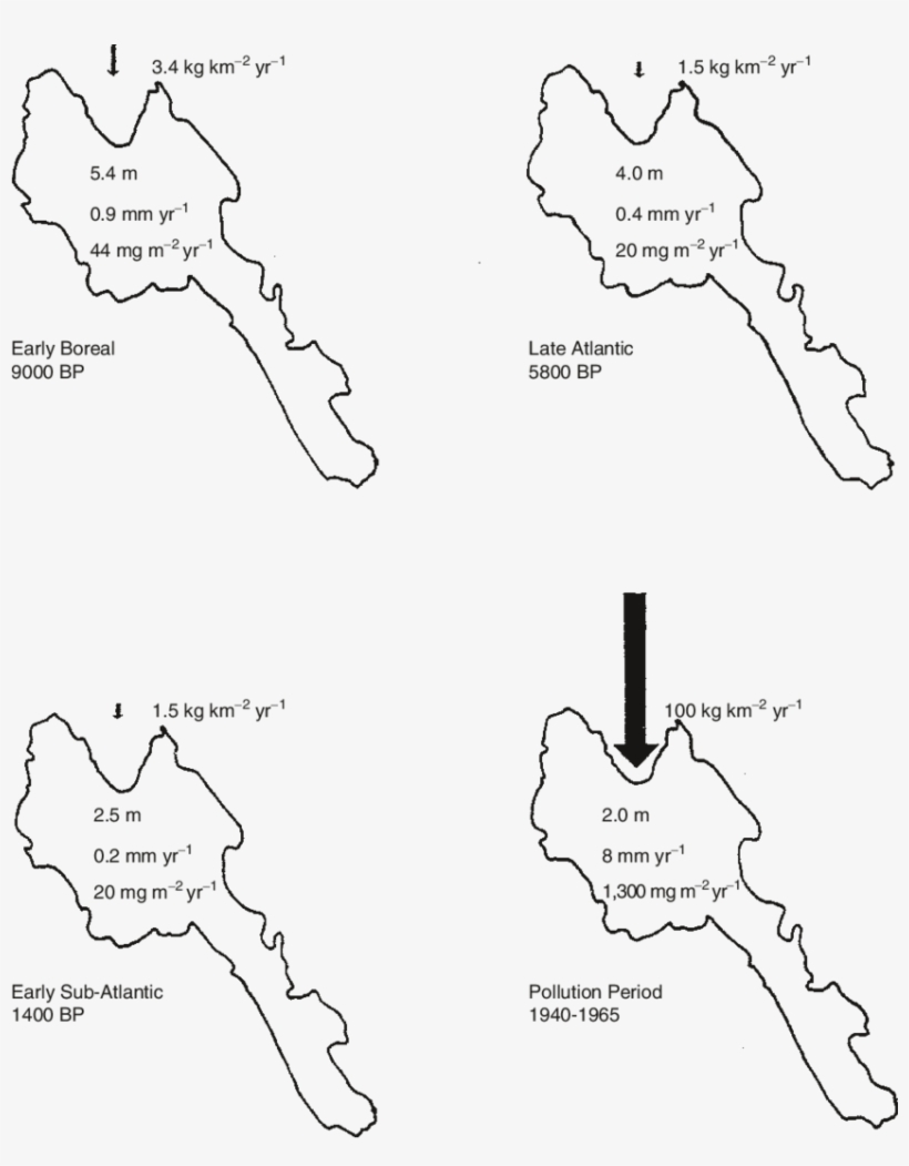 The Transport Of Phosphorus From The Catchment Area - Diagram, transparent png download
