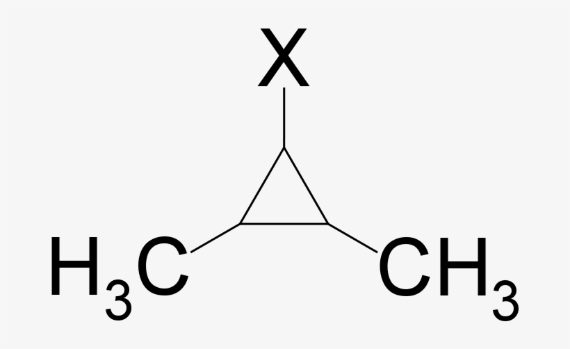 1 Halo 2,3 Dimethylcyclopropane - Trimethylammonium, transparent png download