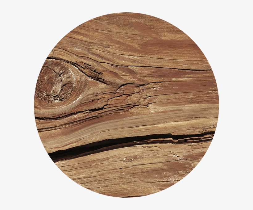 Traditional Oak - Plywood, transparent png download