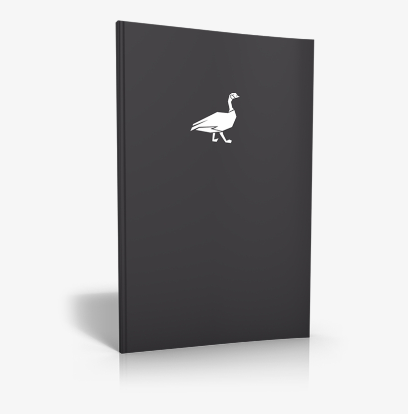 The Holy Spirit Desires A Relationship With Us That - Seabird, transparent png download