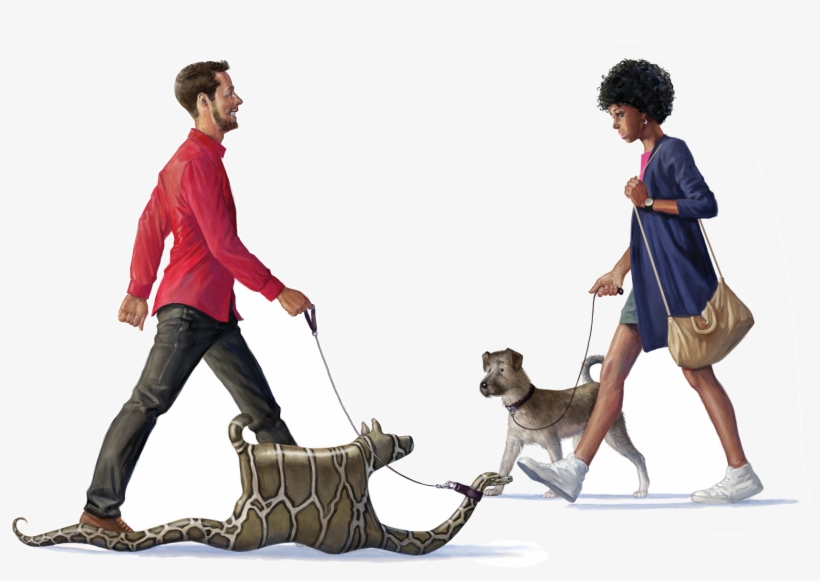 Factors That Up The Chances An Exotic Pet Gets Released - Exotic Pet, transparent png download