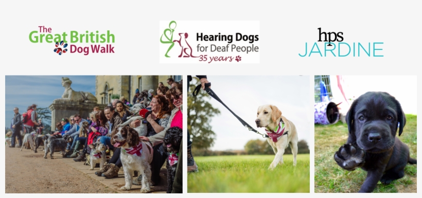 Appealing To Dog Owners, Animal Lovers And Charity, transparent png download