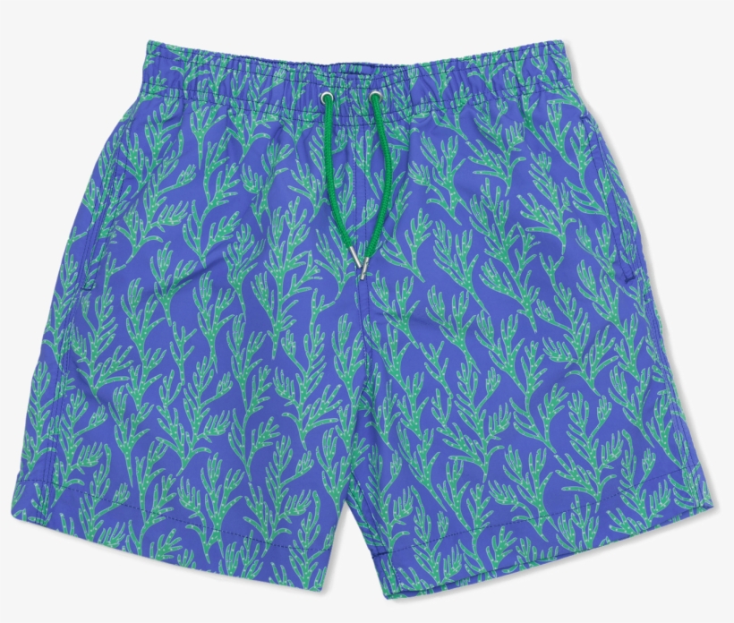 Underpants, transparent png download