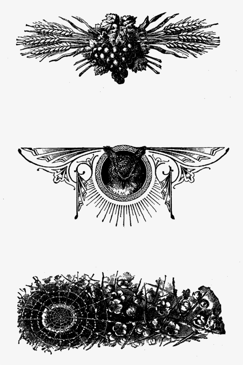 Digital Line Dividers Collage Sheet Download Png - Doodle, transparent png download