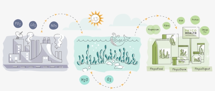 We Capture These And Harness Their Nutritional Power - Illustration, transparent png download