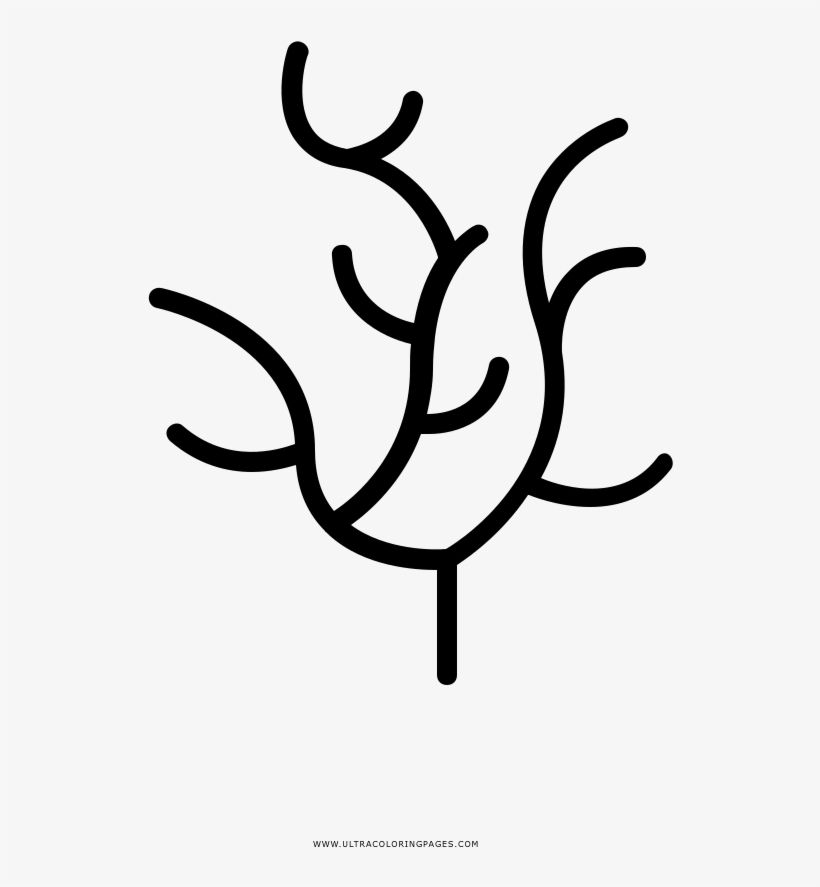 Seaweed Coloring Page, transparent png download