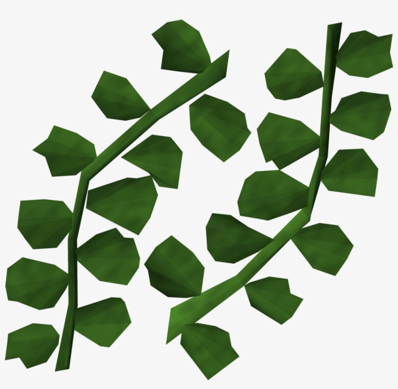 Seaweed Detail, transparent png download