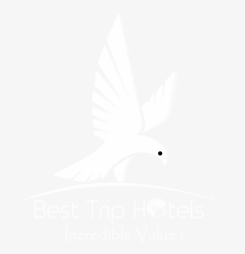 Travel Booking - Ivory, transparent png download