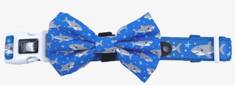 Shark Attack Dog Comfort Collar And Detatchable Bow - Paisley, transparent png download