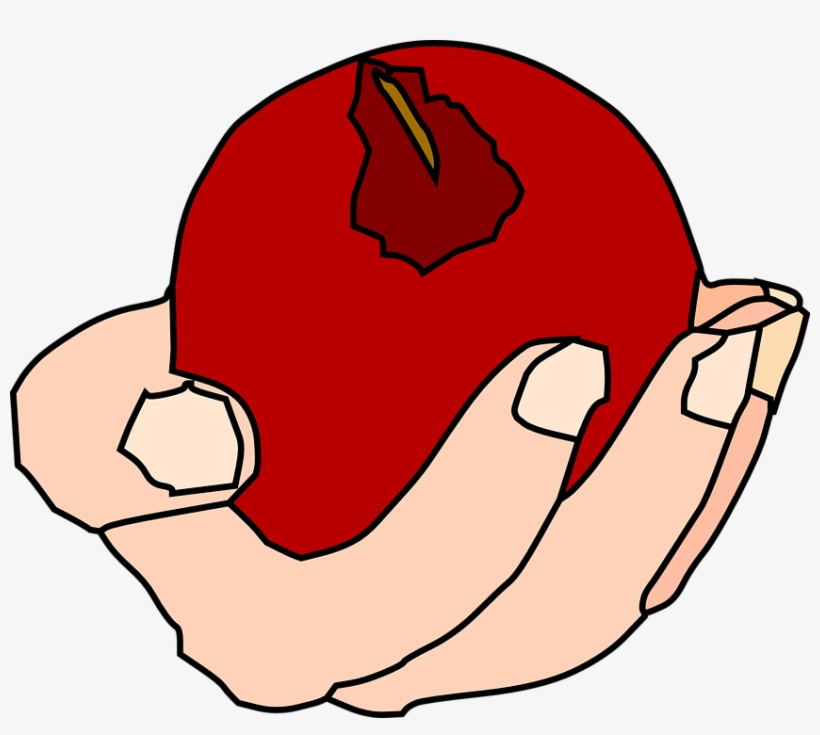 Red Apple Cliparts 29, Buy Clip Art - Hand Holding Fruuit Transparent, transparent png download