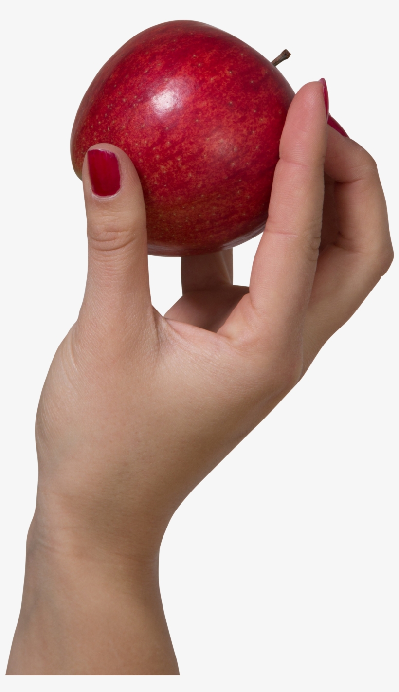A Hand Holding A Red Apple Png Image, transparent png download